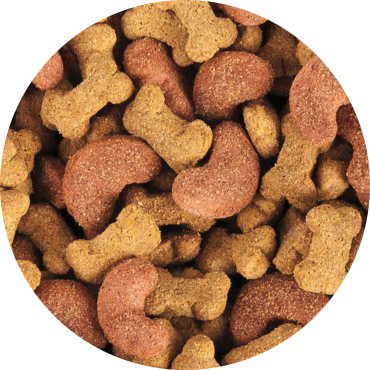 comida para perro