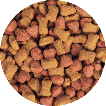 comida para perro